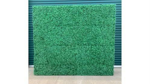 8 *8 Boxwood wall